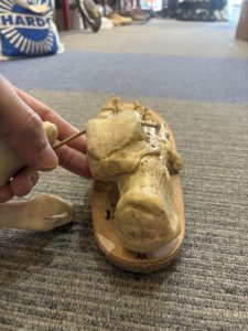 踵骨が小指側にオフセットしている解剖モデル